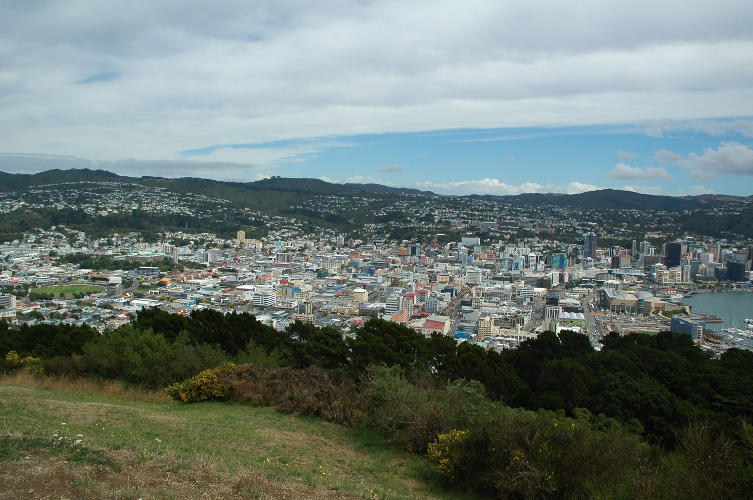 528   09 02   Wellington laatste dag